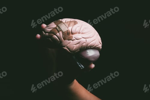 Preview: Shot of an unrecognisable person holding a brain with a band aid on it