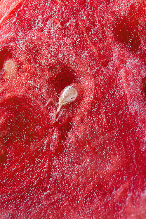Preview: Red raw watermelon pulp texture, close up shot