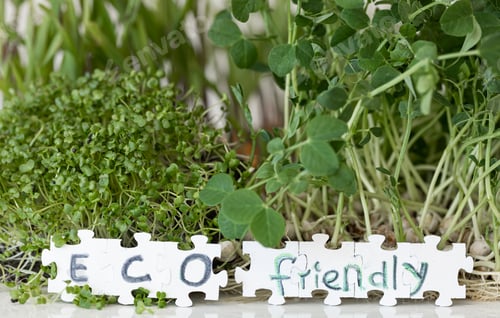 Preview: Germination of microgreens. Germination of seeds at home.