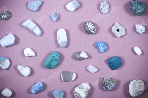 Vista previa: Seashells And Sea Stones Lie On A Bright Background There Is A Place To Record