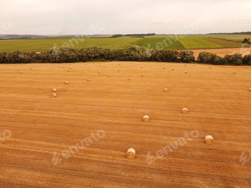 Preview: Aerial view crop wheat rolls of straw in field