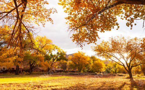 Preview: Autumn garden