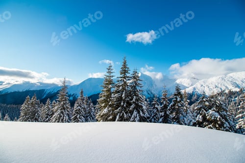 Preview: Beautiful shot of a snowy landscape