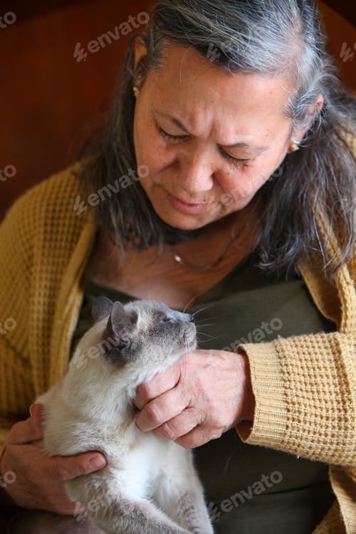 Preview: Senior Woman Petting Cat Indoor