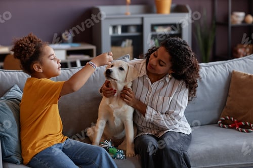 Preview: Black mother and daughter playing with cute puppy on sofa at home