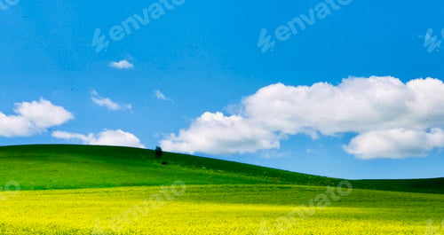 Preview: Grassland