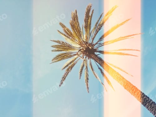 Preview: Palm tree against blue sky background with trendy glitch and light leak effect
