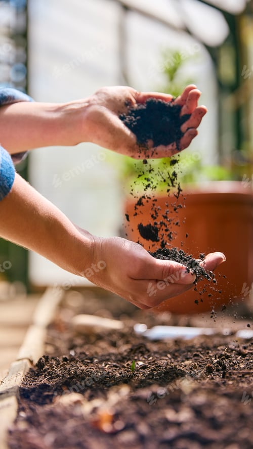Preview: Close Up Of Woman Gardening In Greenhouse Preparing Soil For Planting Seeds