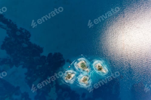 Preview: The lost island