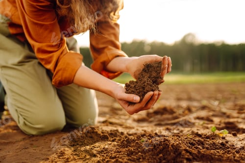 Preview: Women's hands sort through black soil in field. A woman farmer checks quality of the soil. Ecology.