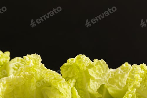 Preview: Salad