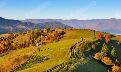 Preview: Beautiful autumn mountain landscape in the morning light with fo