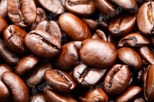 Preview: coffee bean
