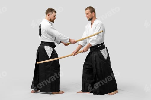 Preview: Two Caucasian Men Are Practicing Aikido With Bokken (Isolation Path Included)