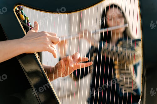 Preview: Hungarian harp and flute duo playing