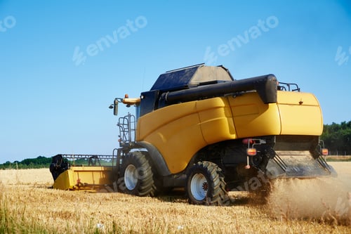 Preview: Harvester combine working in the field