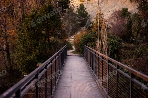 Preview: Metal Footbridge Leading into a Scenic Forest Path