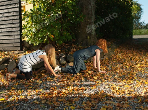 Preview: Friends crawling on autumn leaves