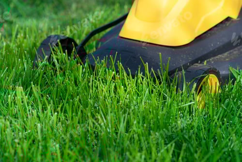Preview: lawn mower trimming grass, close up