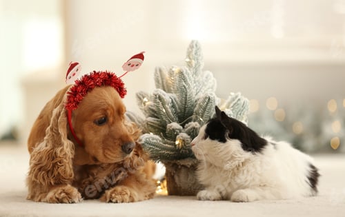 Preview: Adorable Cocker Spaniel dog in Santa headband and cat near decorative Christmas tree
