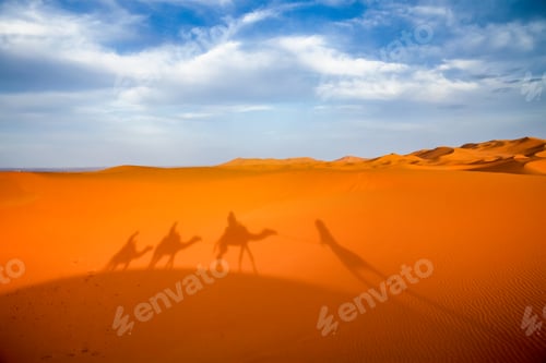 Preview: Shadow of a caravan on sand dunes