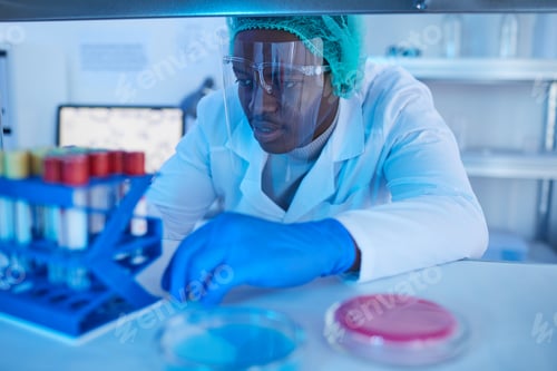 Preview: Doctor working with medical analysis