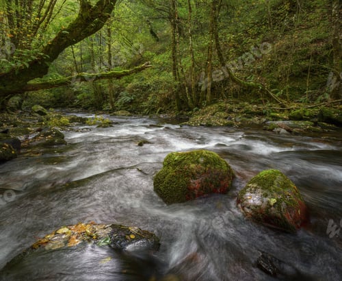 Preview: Fantasy look in a river of Elvish aspect
