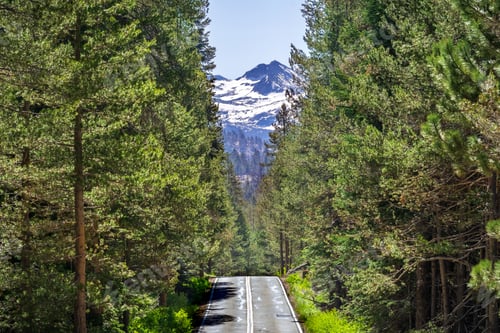 Preview: Road in Yosemite Park