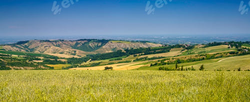 Preview: Country landscape near Meldola and Predappio, Emilia-Romagna