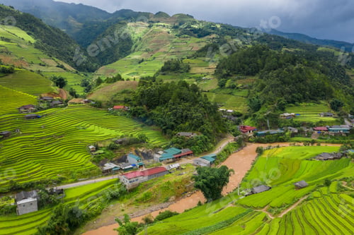Preview: Paddy rice terraces, green agricultural fields in countryside of mountain hills valley, Vietnam.