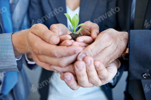 Preview: New businesses are fragile things