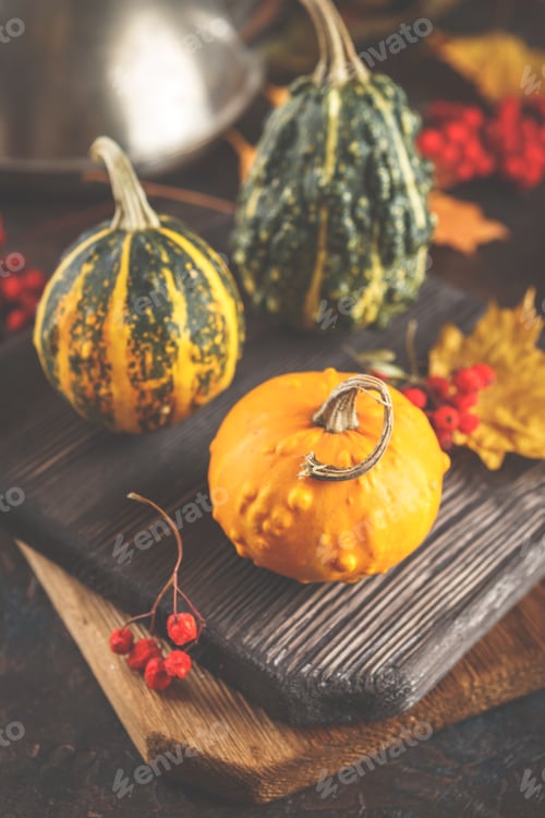 Preview: Autumn Pumpkins