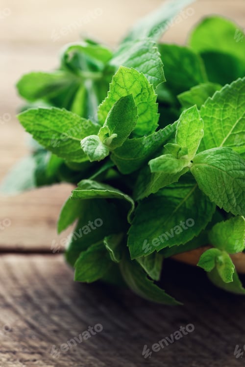 Preview: Fresh mint leaves on wooden background with copyspace and sunlights