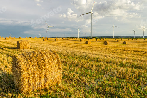 Preview: Windmill on the field in summer