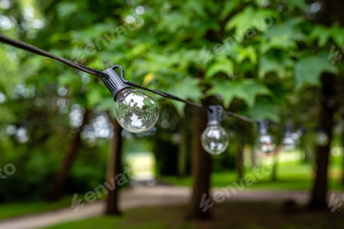 Preview: garden