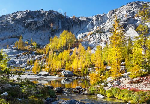 Alpine lake