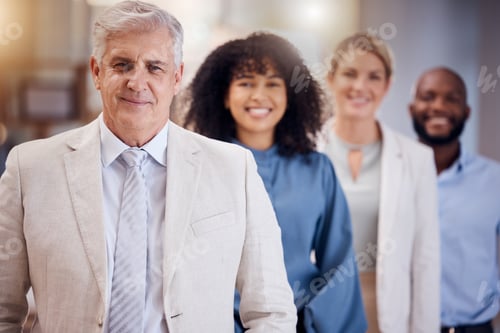 Preview: Teamwork, queue and portrait of business people with leadership, partnership and cooperation. Succe