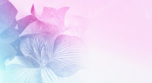 Preview: Colorful Flowers In Soft And Blur Style On Mulberry Paper Texture
