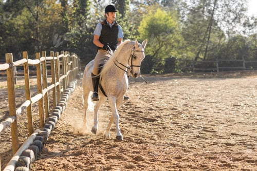 Preview: Man riding horse on riding ring