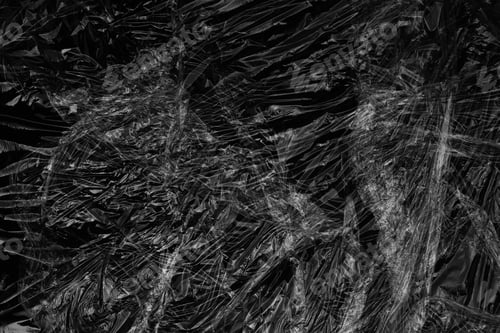 Preview: cellophane foil texture background polyethylene