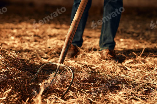 Preview: Mature couple working on the farm