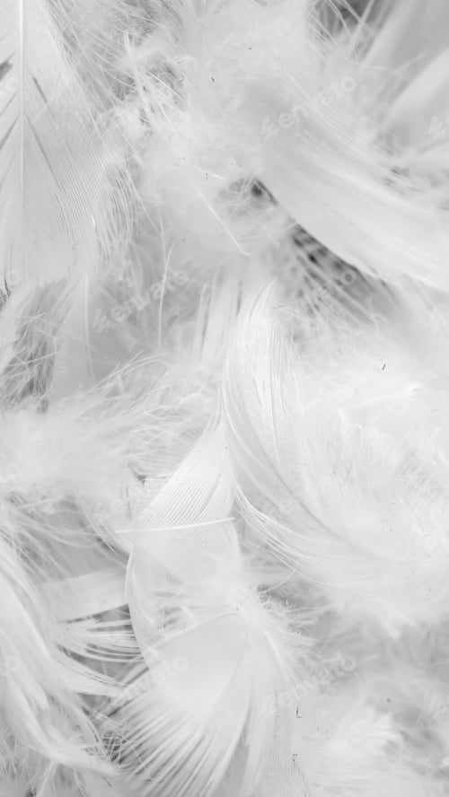 Preview: nice white duck feathers. background or texture