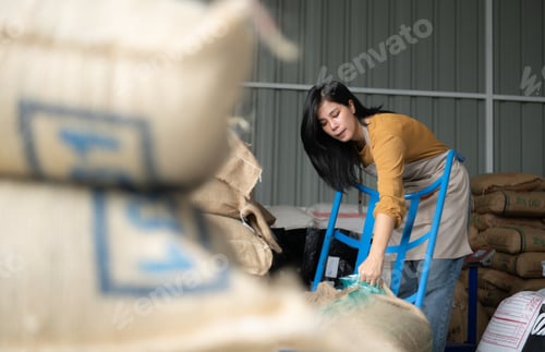 Preview: Young asian beautiful woman in coffee green bean bag factory,