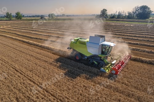 Preview: Aerial shot of harvester machinery collecting wheat grain in hot season in rural cultivated fields