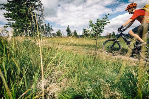 Preview: Mountain biking man riding in woods and mountains