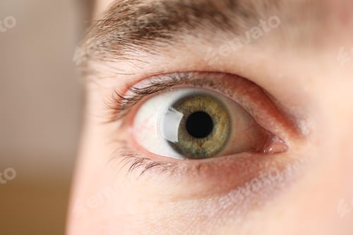 Preview: Beautiful mans green eye, closeup. Macro. Healthcare and medical concept