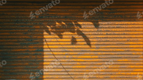 Preview: Background