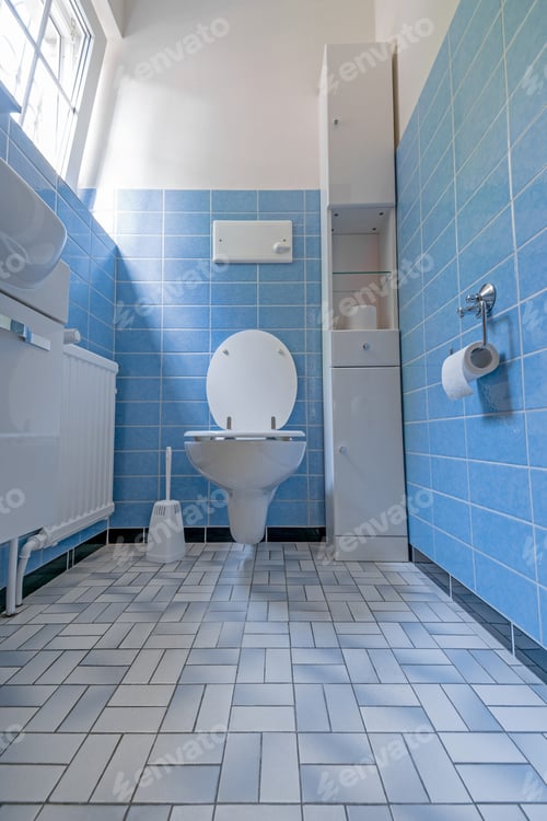 Preview: Toilet with seat up