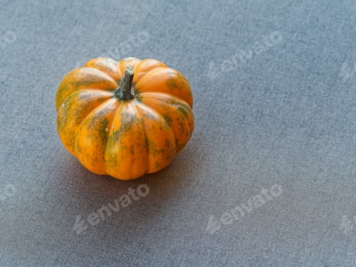 Preview: One orange pumpkin on th textile background