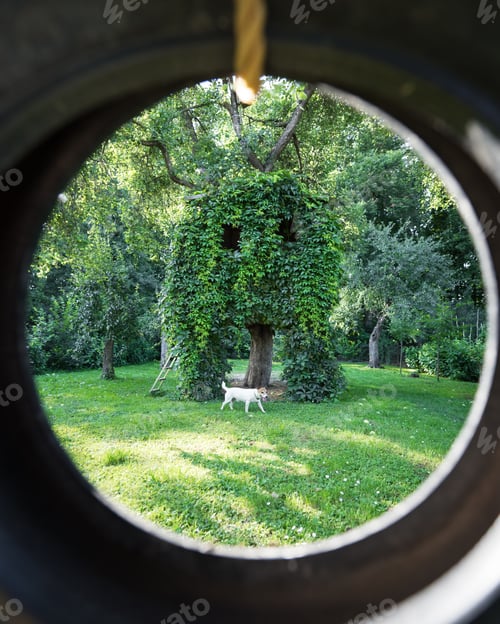 Preview: House on tree in green spring garden